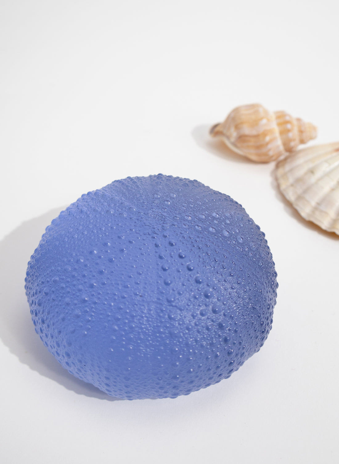 XXLarge Sea Urchin - Sky Blue