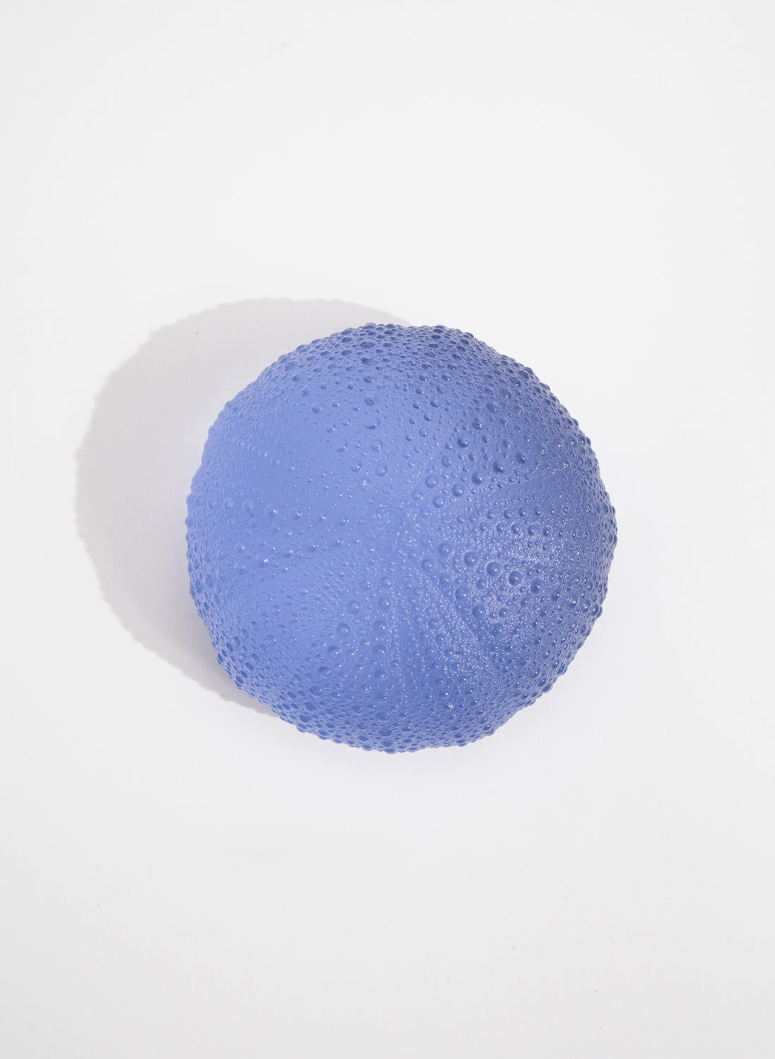 XXLarge Sea Urchin - Sky Blue