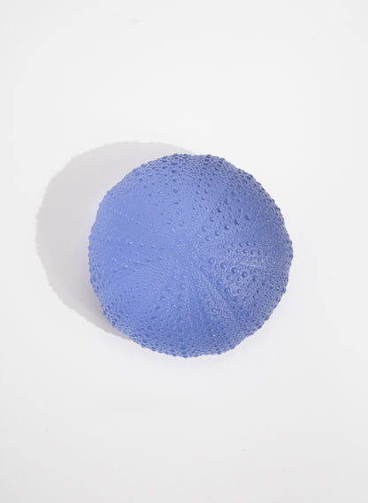 XXLarge Sea Urchin - Sky Blue