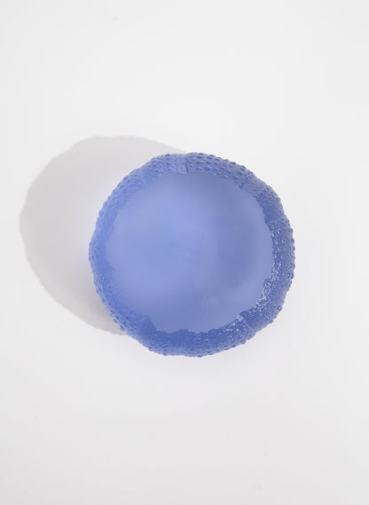 XXLarge Sea Urchin - Sky Blue