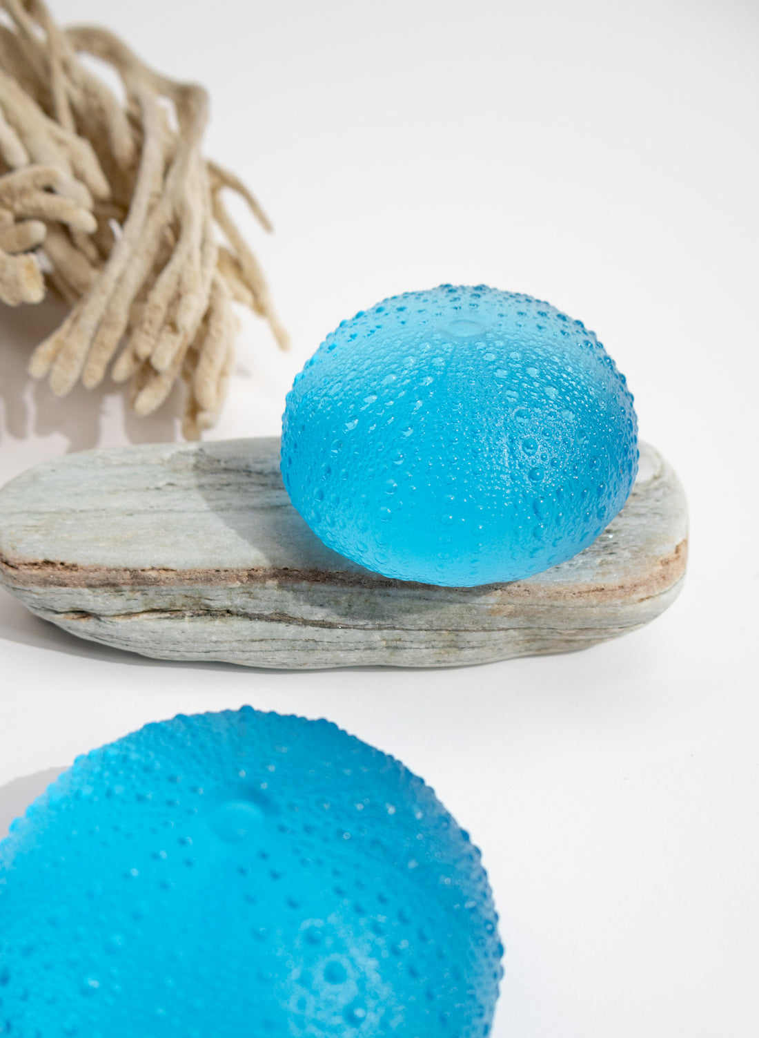 XLarge Sea Urchin - Copper Blue