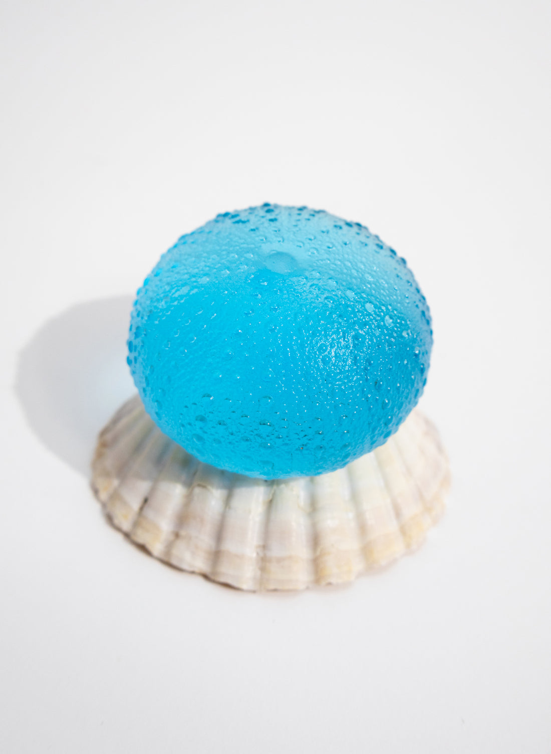 XLarge Sea Urchin - Copper Blue