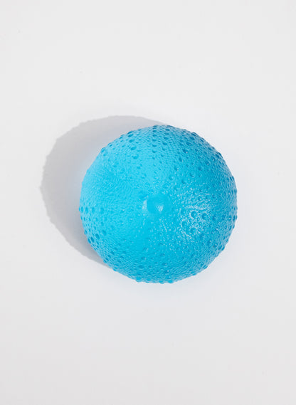 XLarge Sea Urchin - Copper Blue