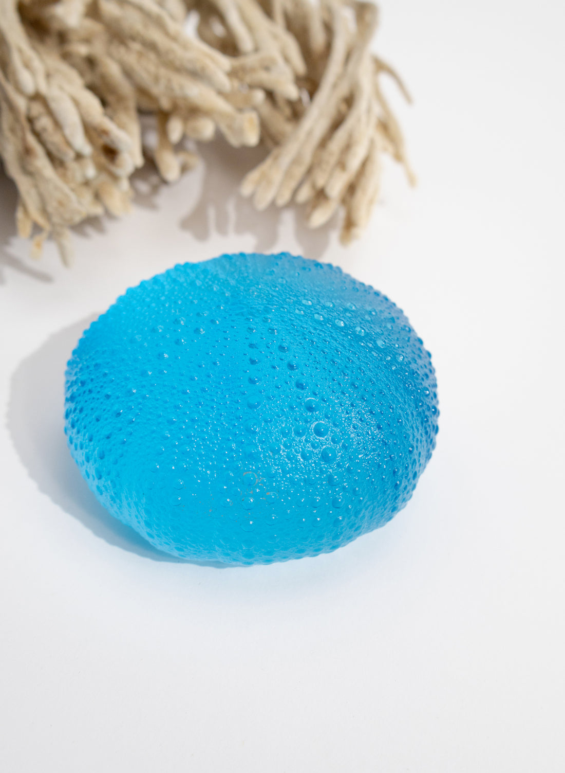 XXXLarge Sea Urchin - Copper Blue