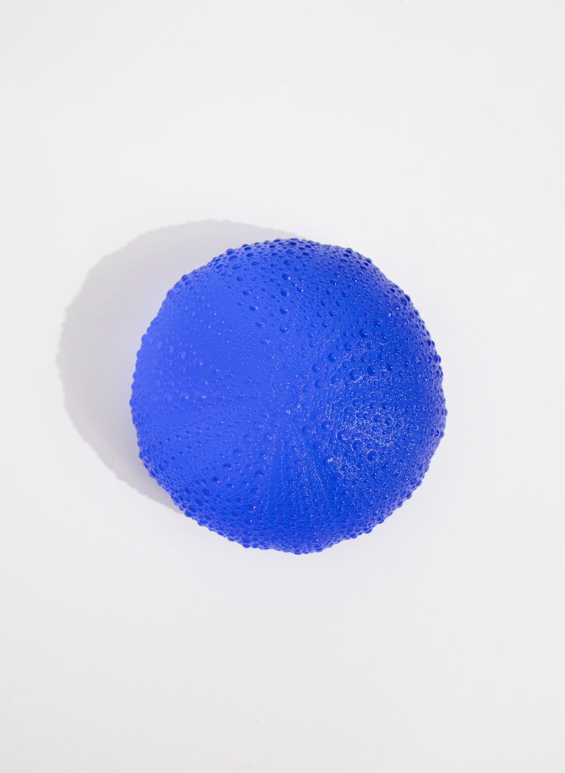 XXXLarge Sea Urchin - Light Cobalt