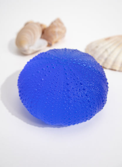 XXXLarge Sea Urchin - Light Cobalt