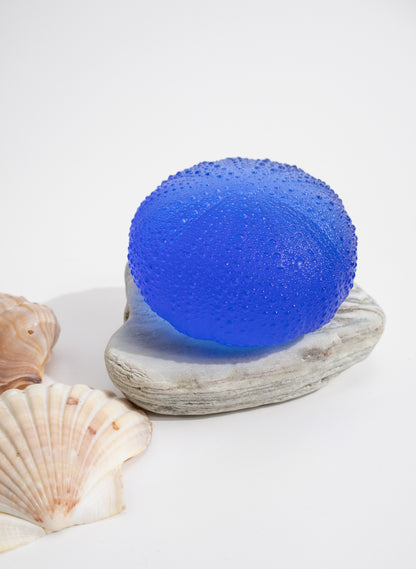 XXXLarge Sea Urchin - Light Cobalt