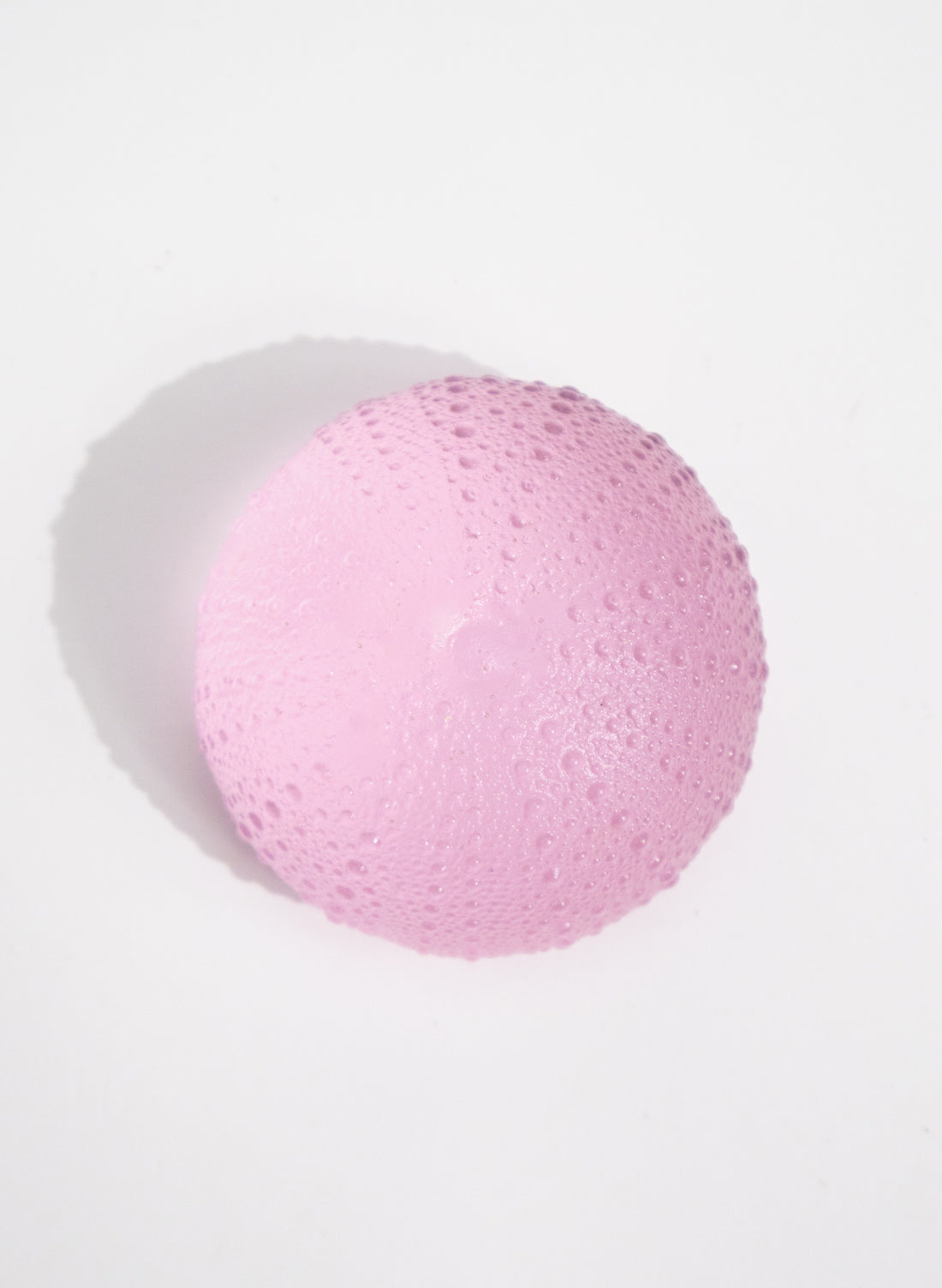 XLarge Sea Urchin - Pink