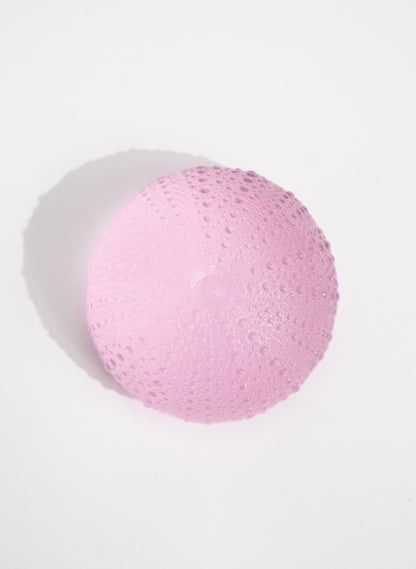 XLarge Sea Urchin - Pink