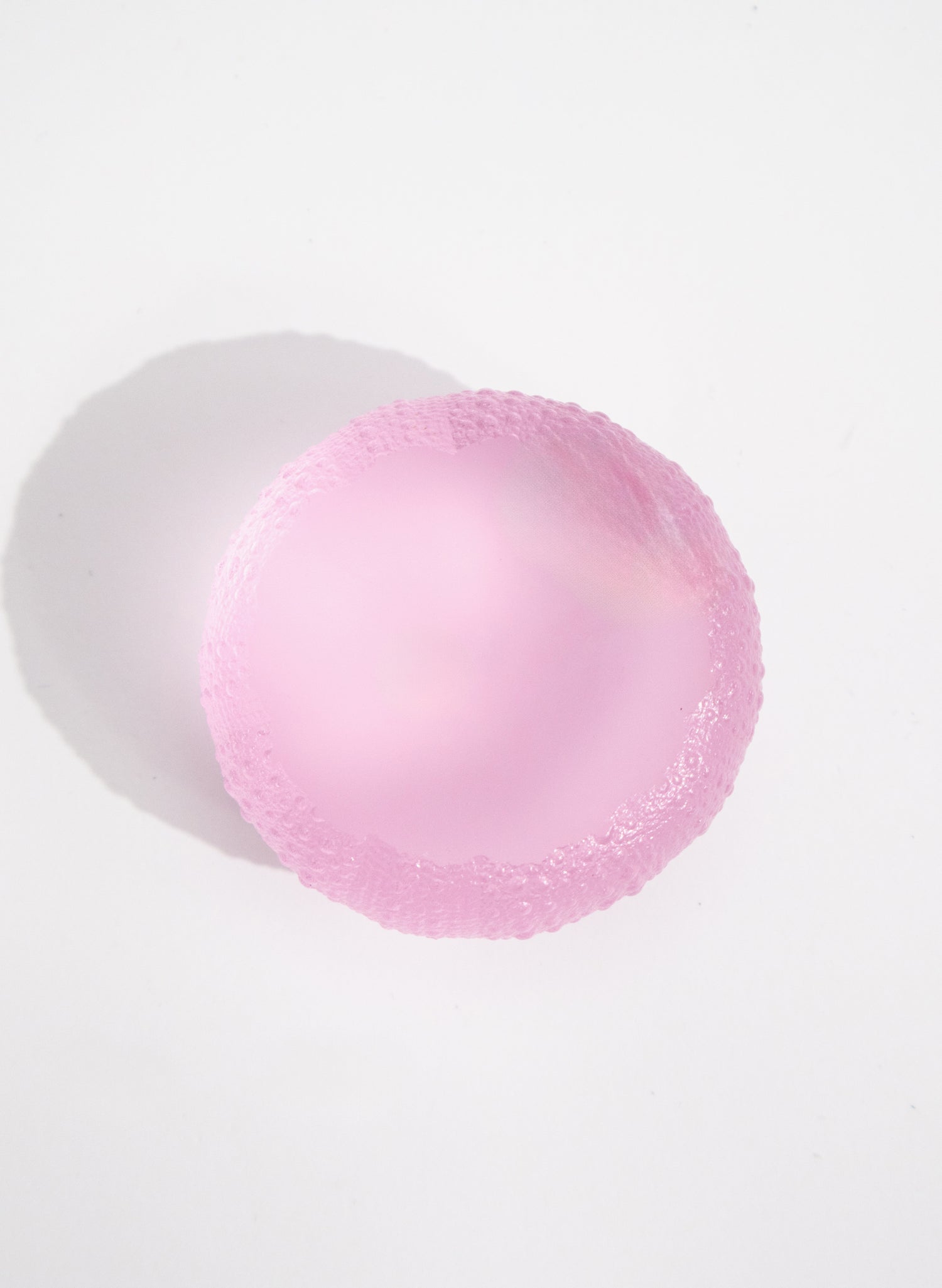 XLarge Sea Urchin - Pink