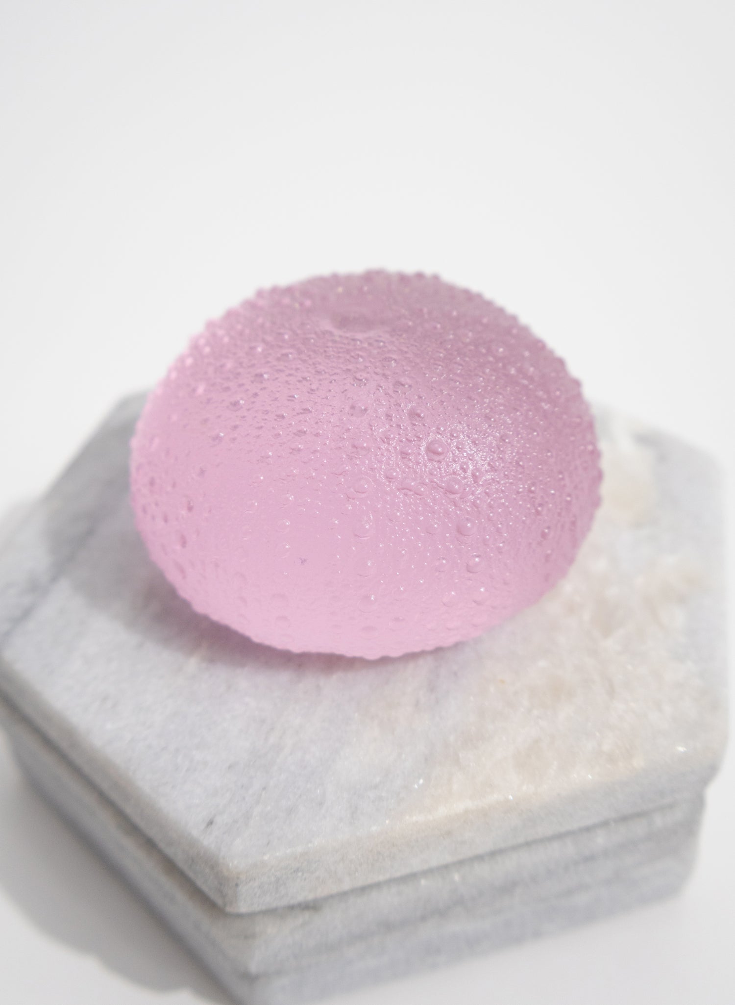 XLarge Sea Urchin - Pink