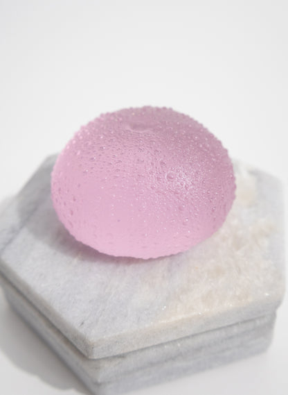 XLarge Sea Urchin - Pink