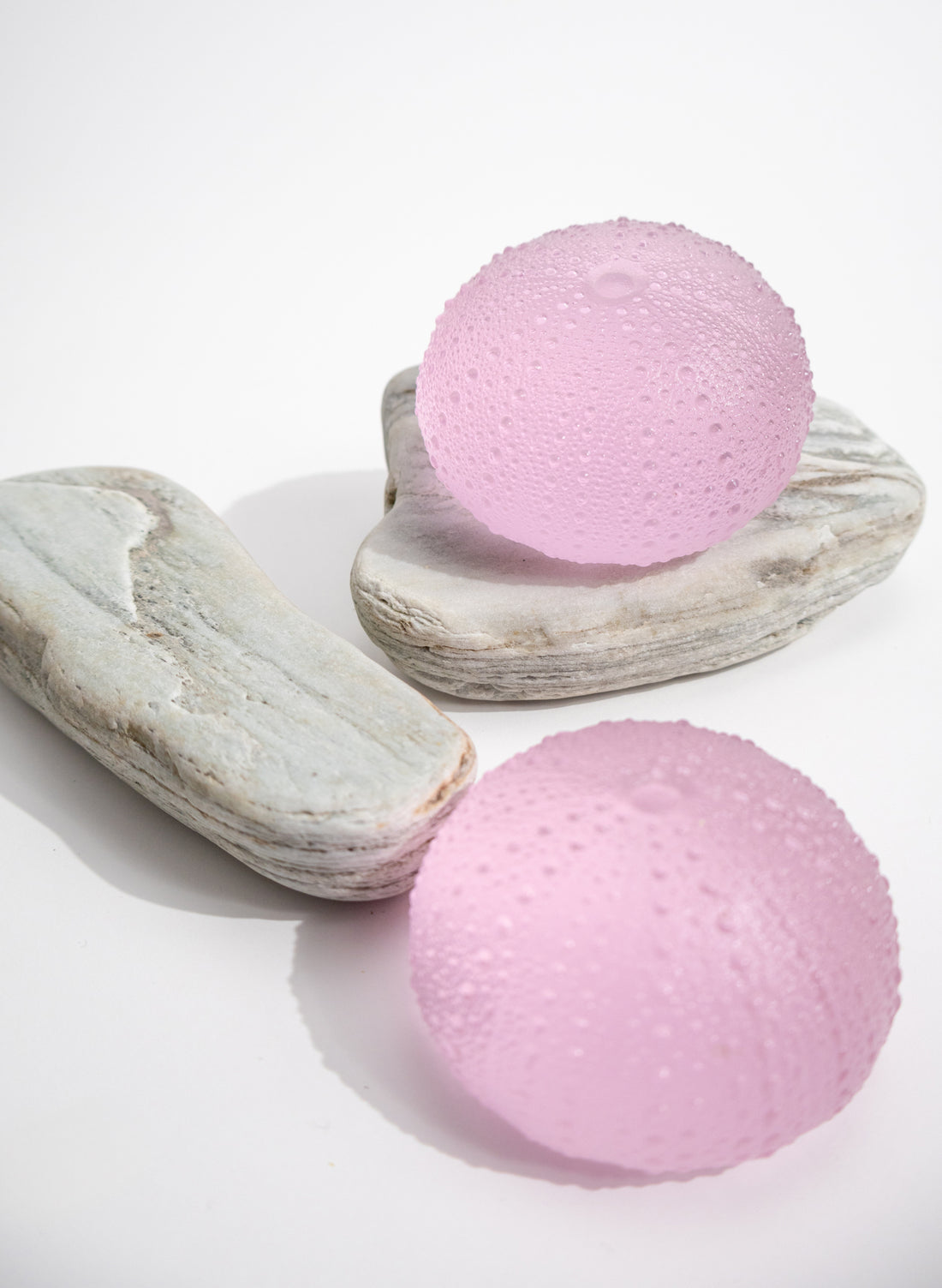 XXLarge Sea Urchin - Pink