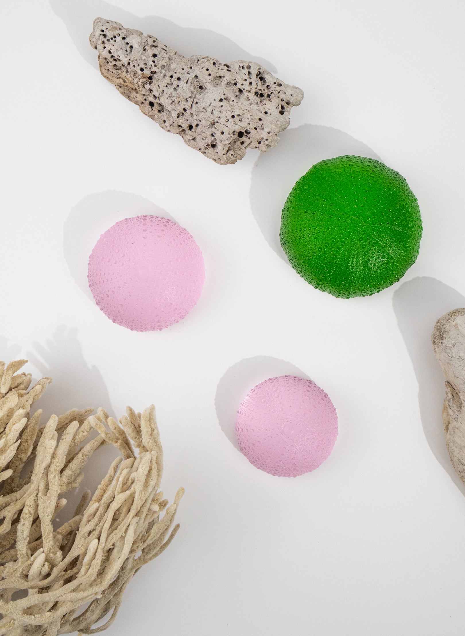 XXLarge Sea Urchin - Pink