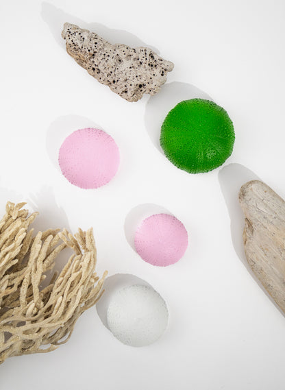 XXLarge Sea Urchin - Clear