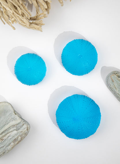 XXLarge Sea Urchin - Copper Blue