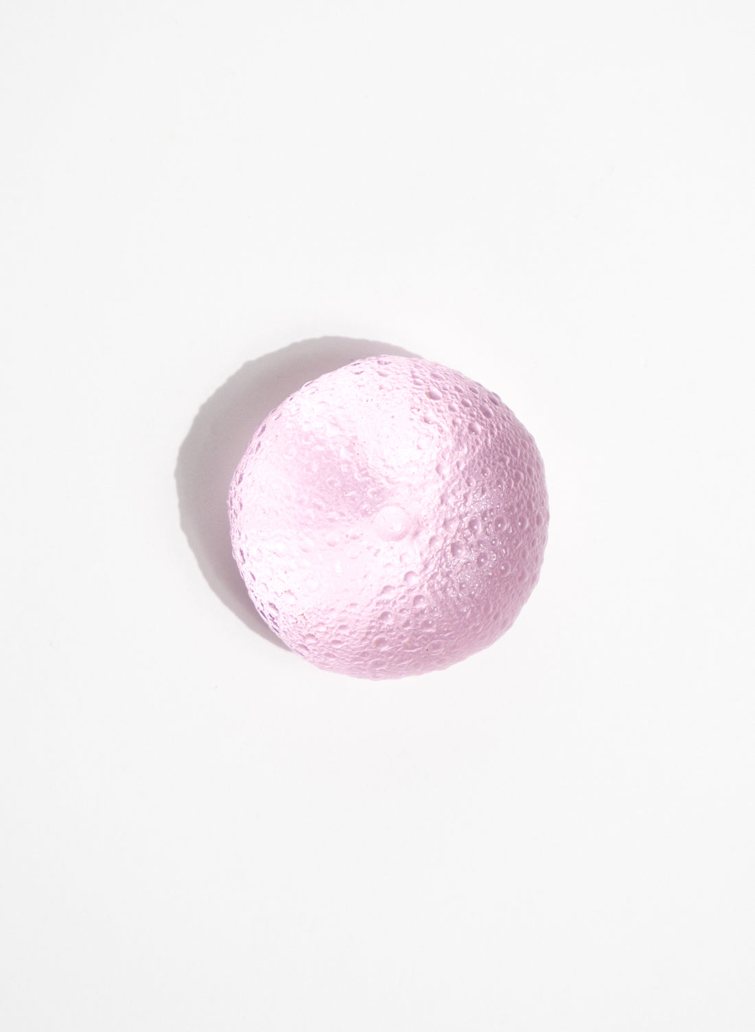 Small Sea Urchin - Pink