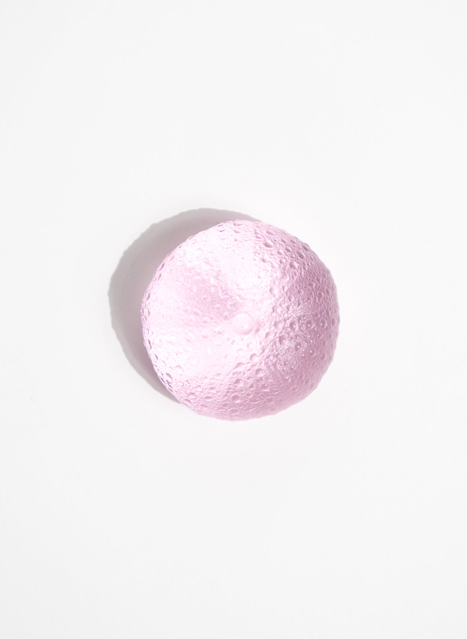 Small Sea Urchin - Pink