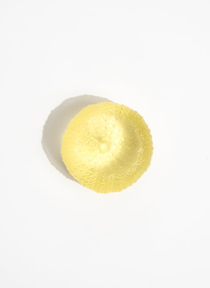 Small Sea Urchin - Yellow