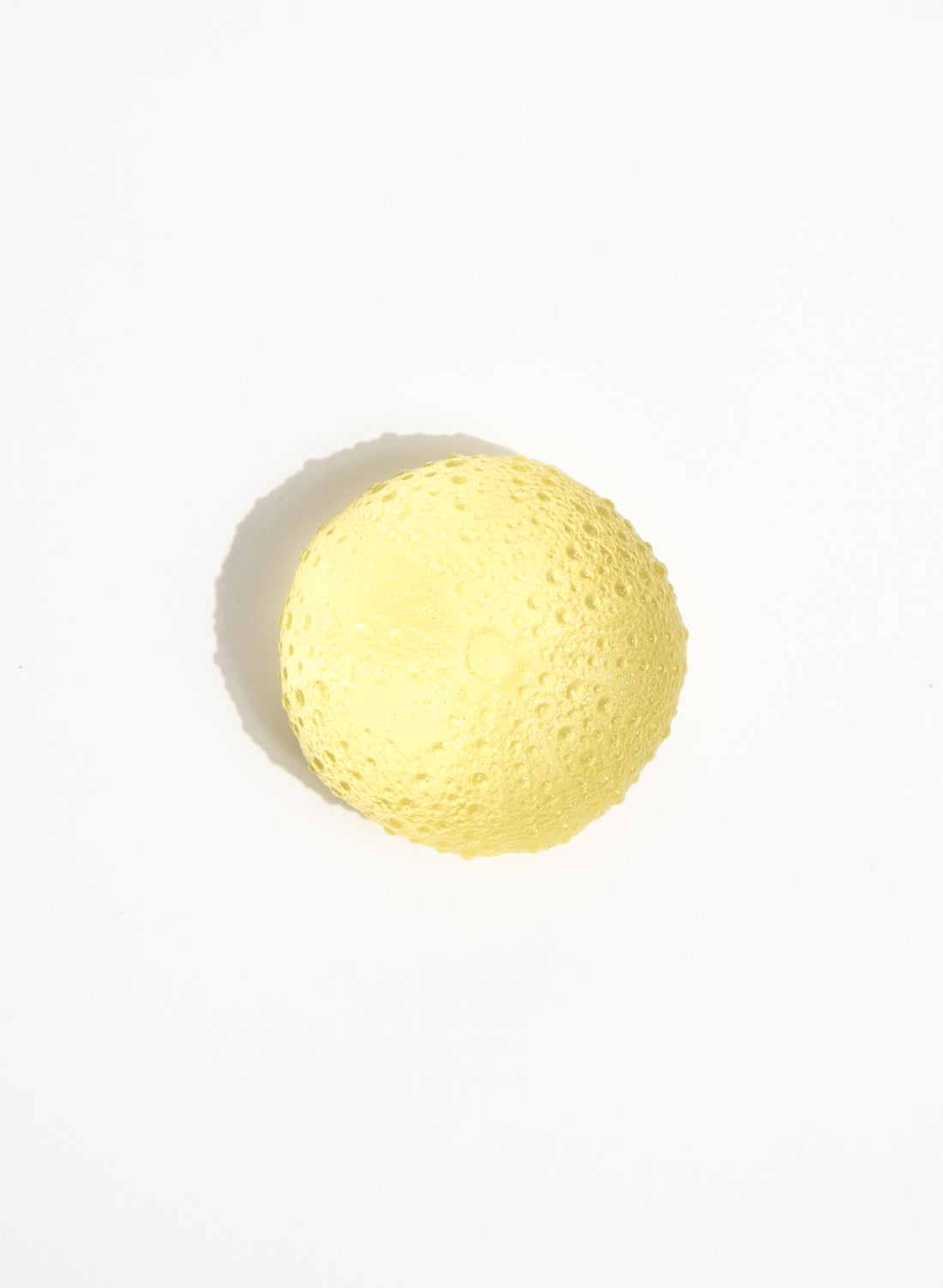 Small Sea Urchin - Yellow