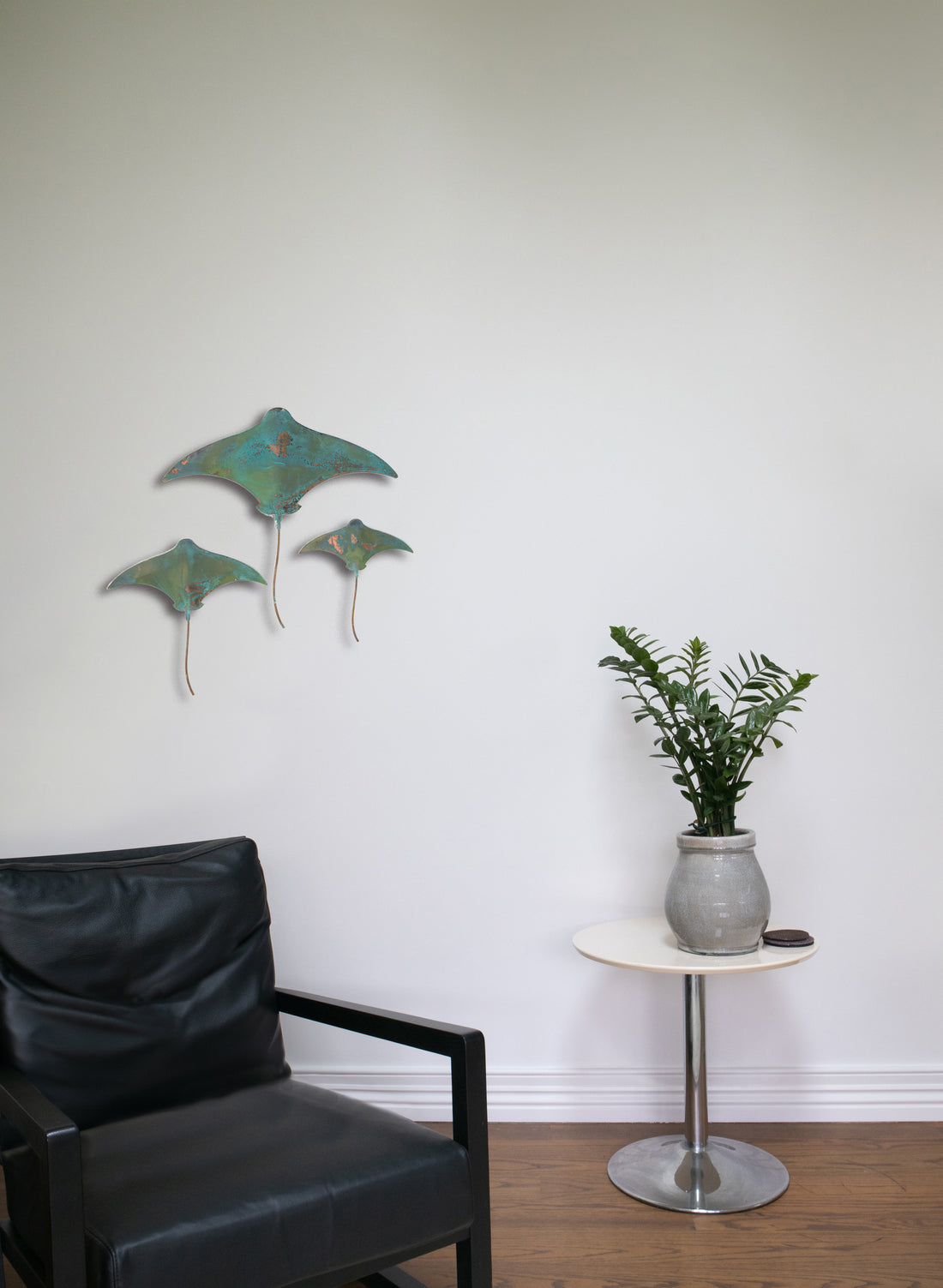 Stingray - Set of 3 