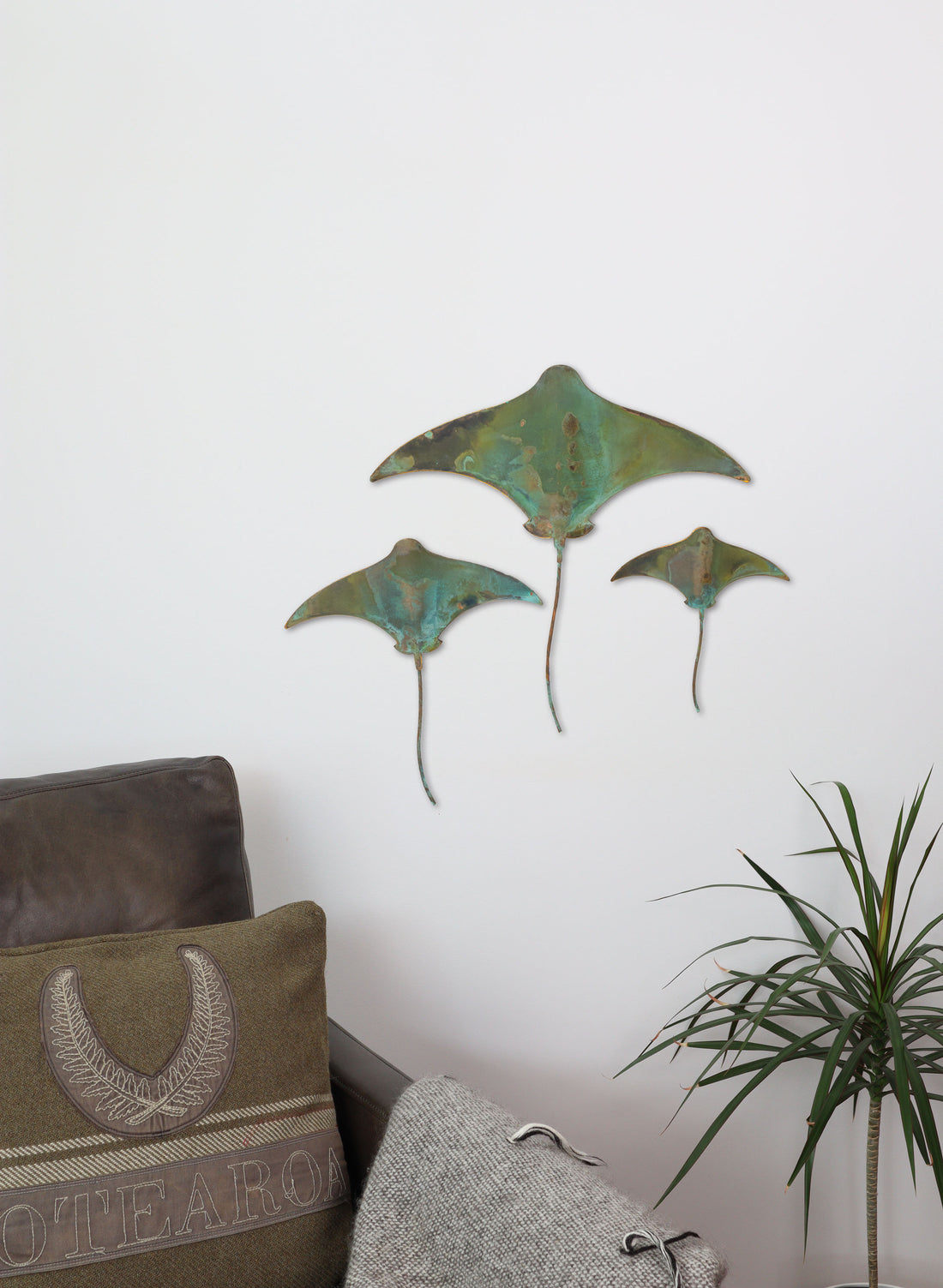 Stingray - Set of 3 