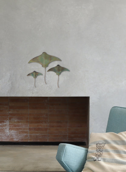 Stingray - Set of 3 