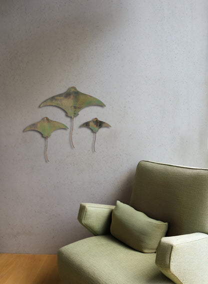 Stingray - Set of 3 
