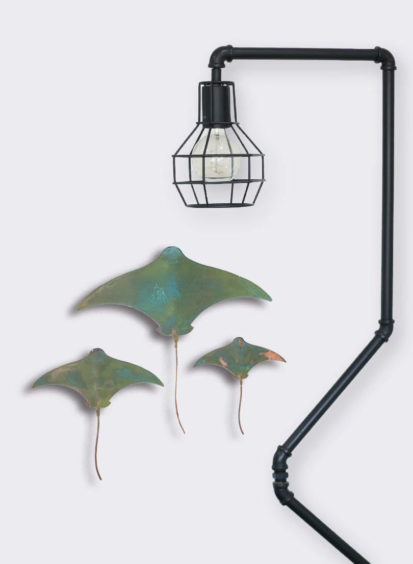Stingray - Set of 3 