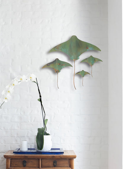 Stingray - Set of 4 