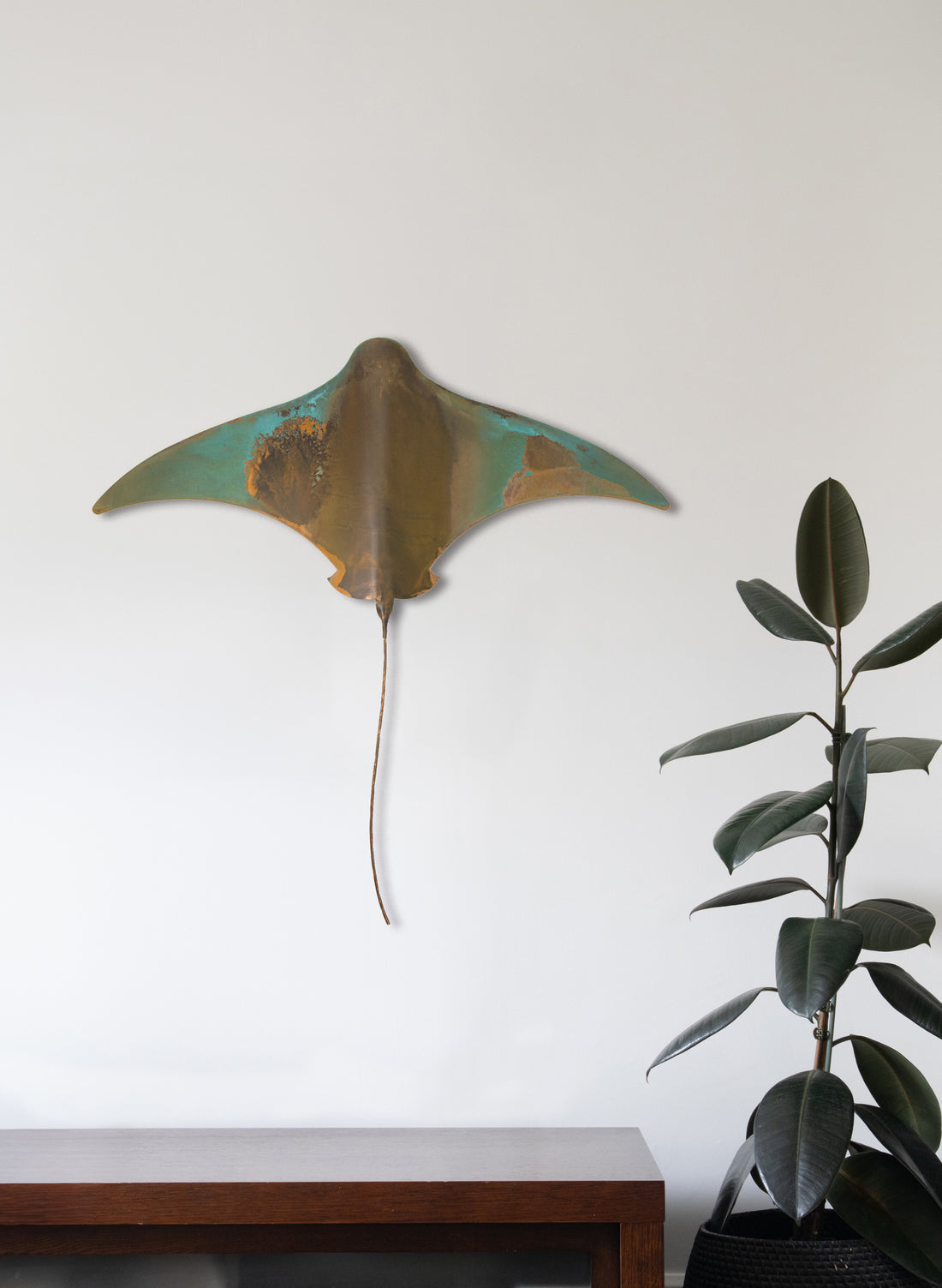 Stingray - XXL