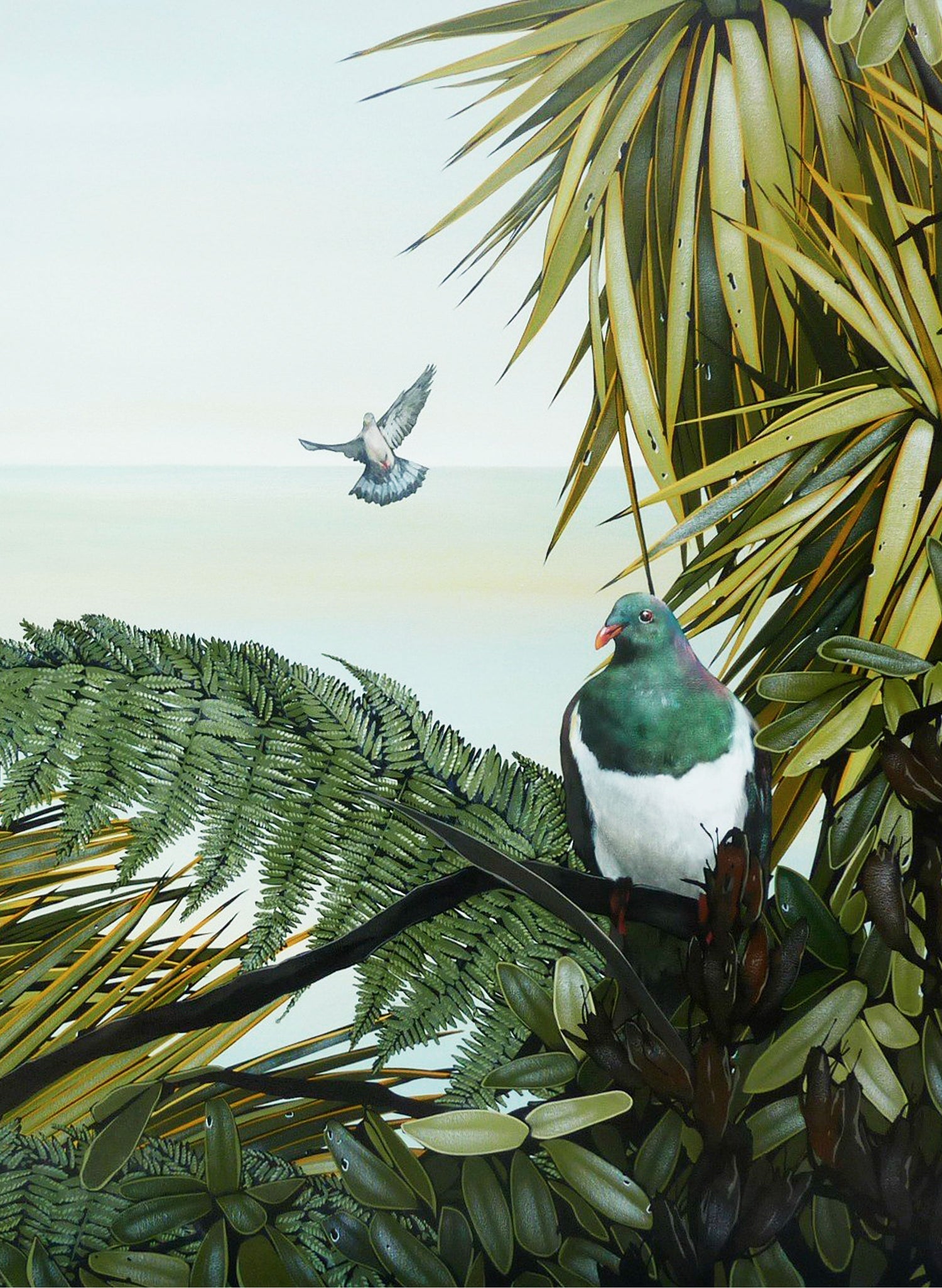 Kereru - Giclée Print