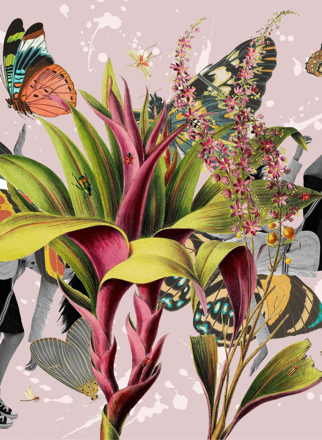Paradise - Digital Collage Print