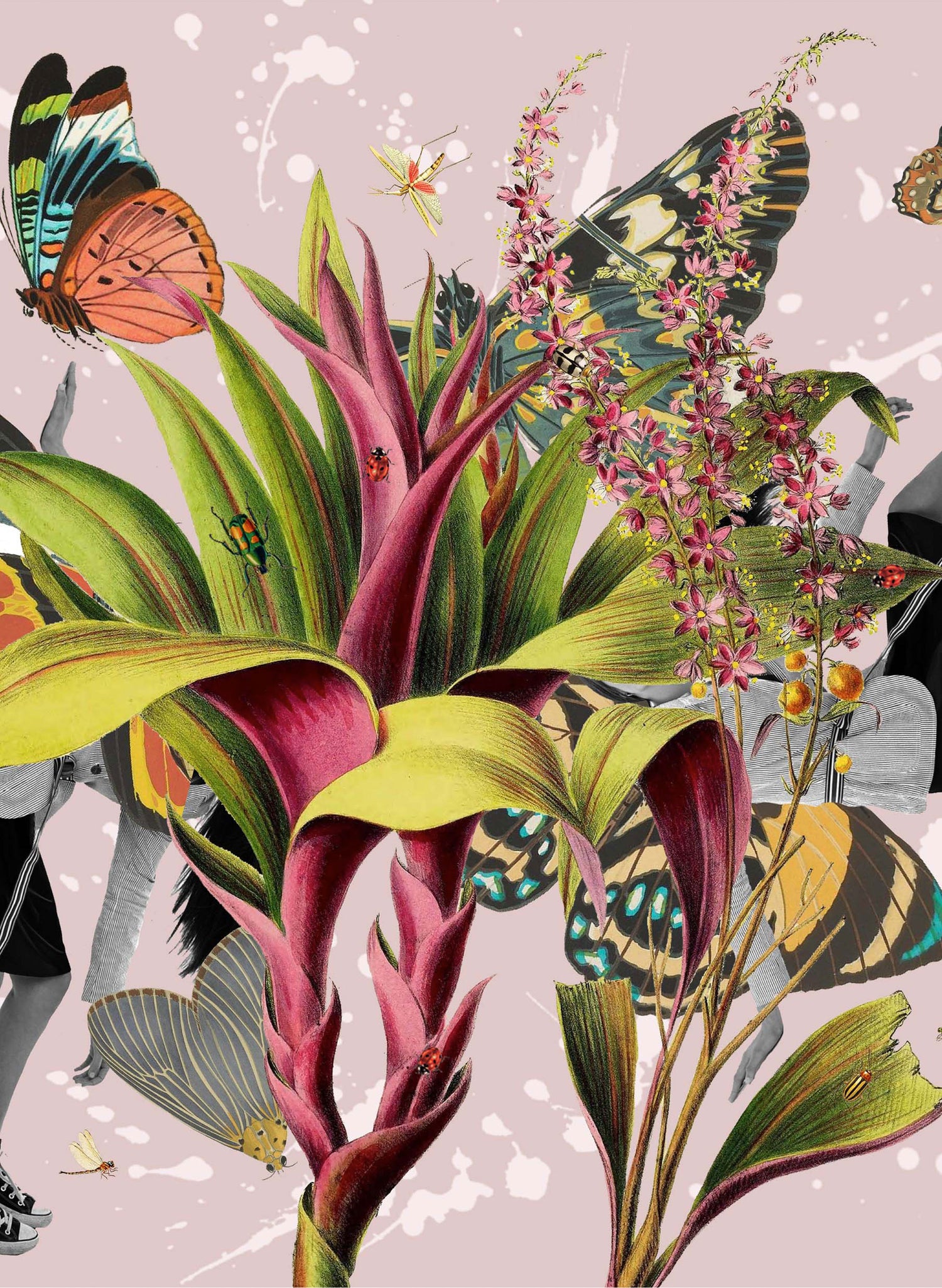 Paradise - Multimedia Fine Art Print
