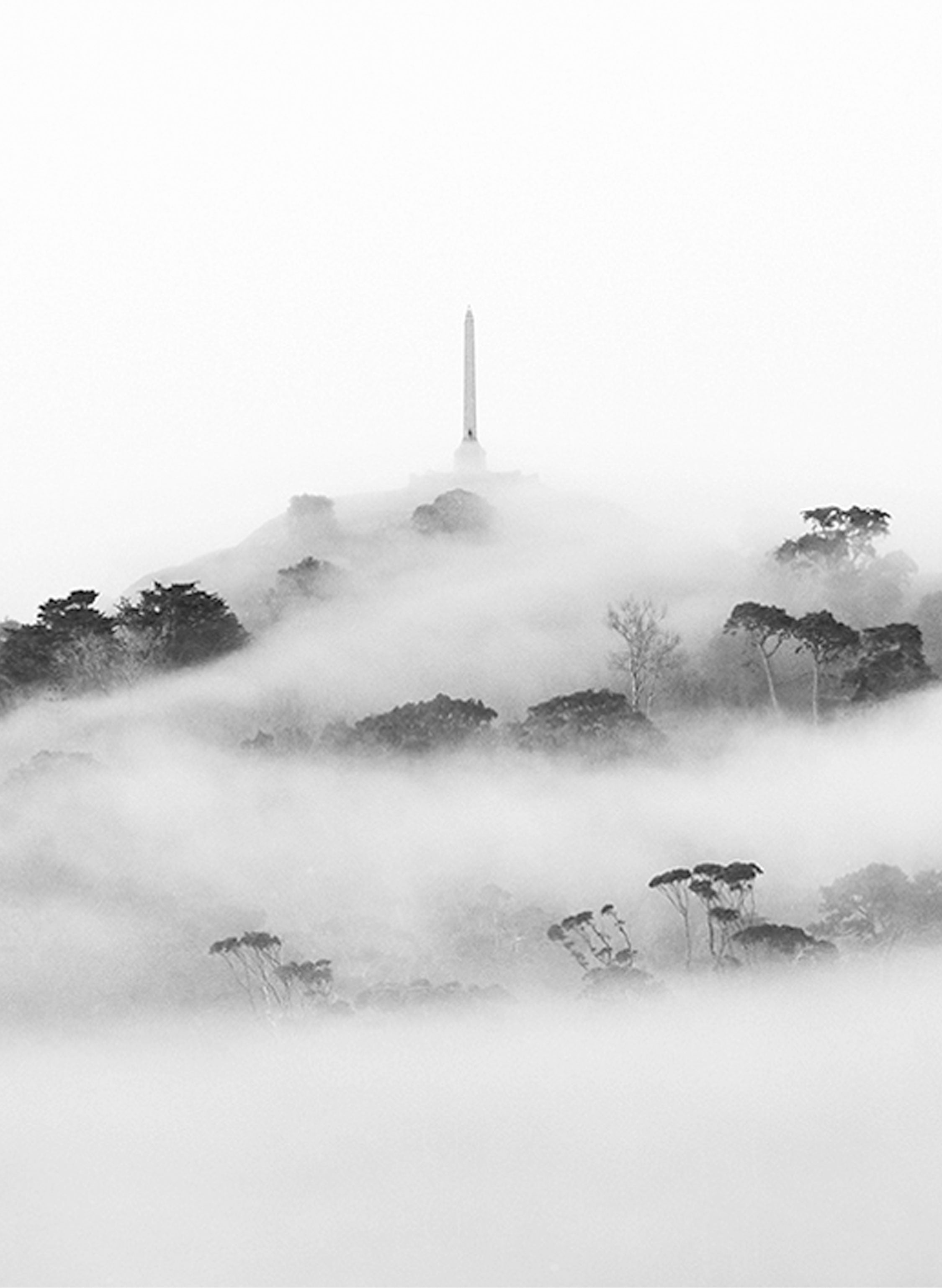 Morning Mist - Photographic Print