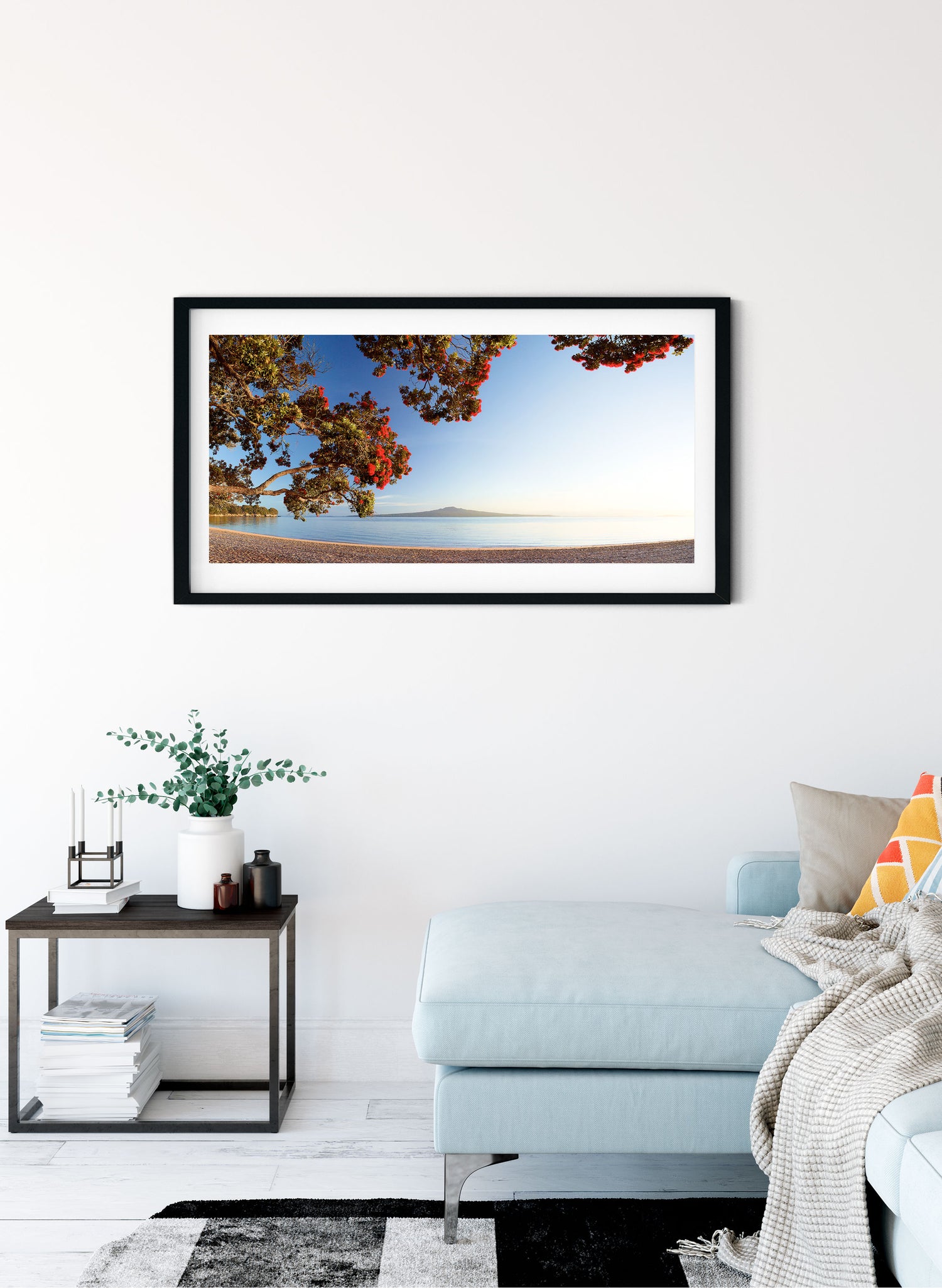 Morning Glory - Photographic Print