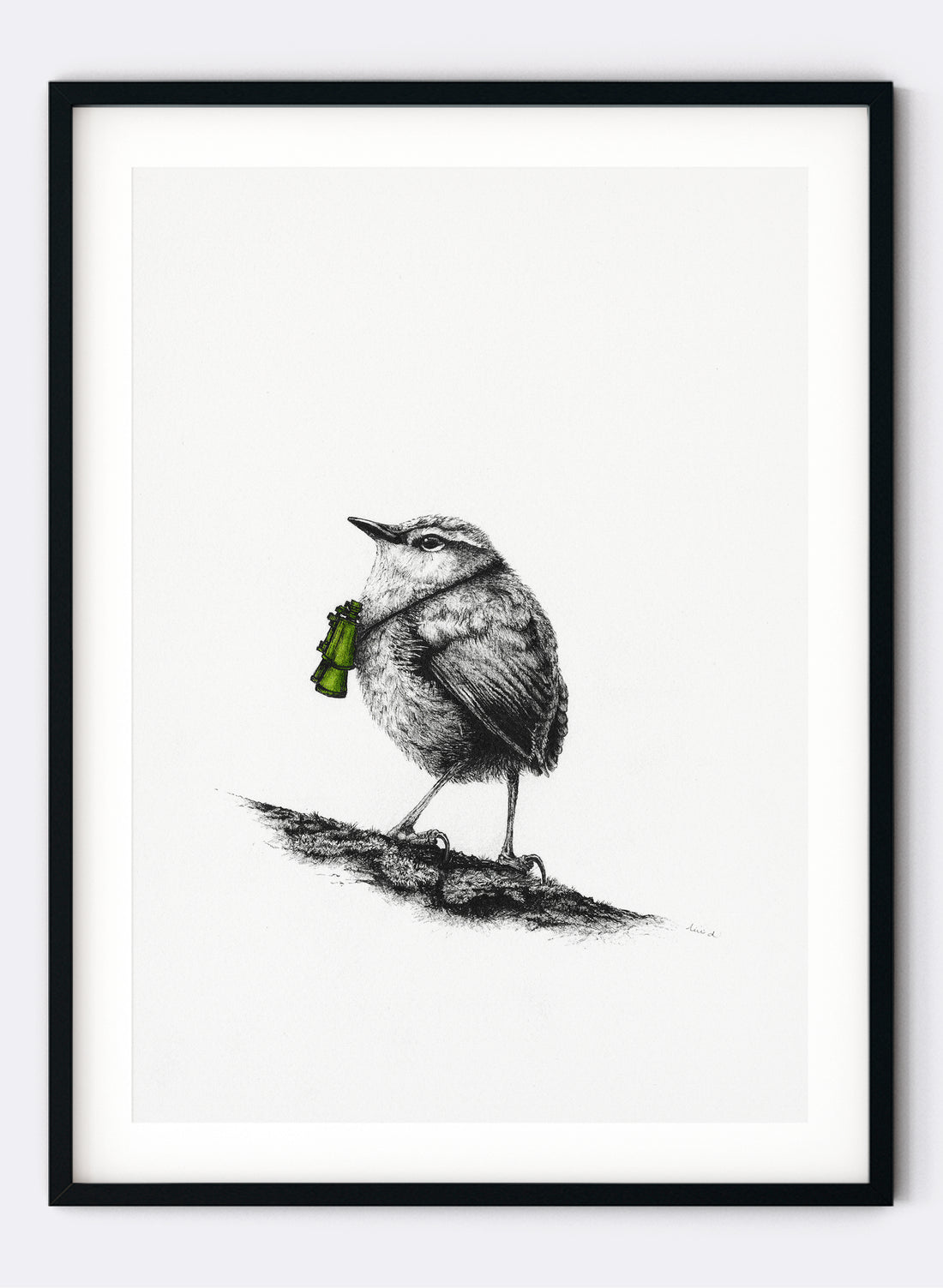 Rock Wren w/ Binoculars - Giclée Print