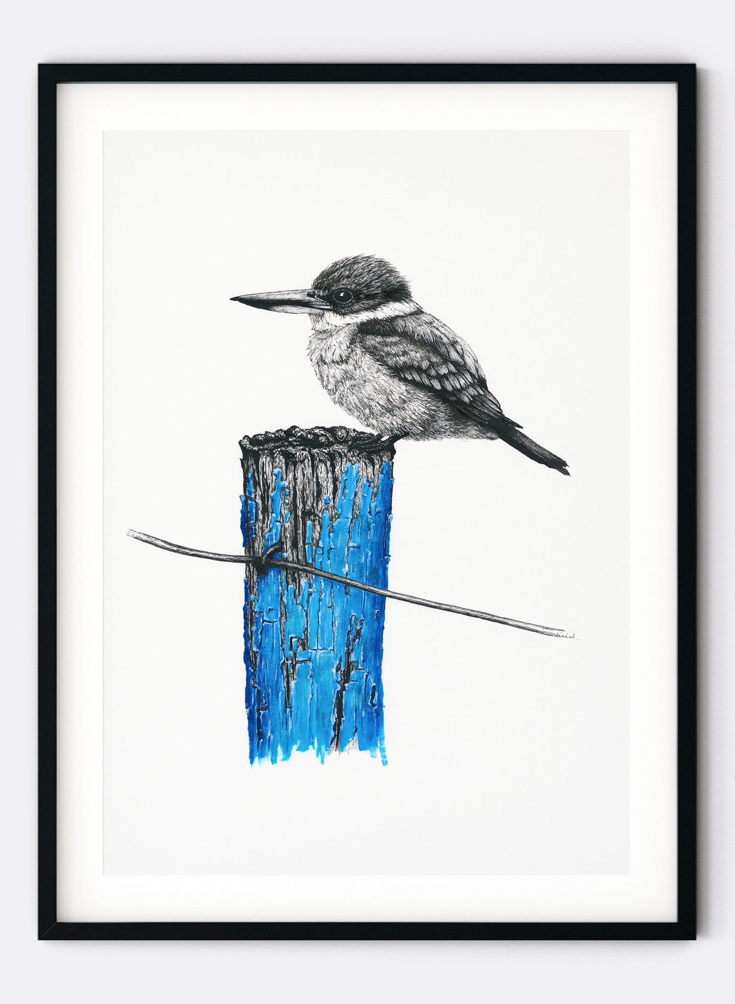Sacred Kingfisher - Giclée Print