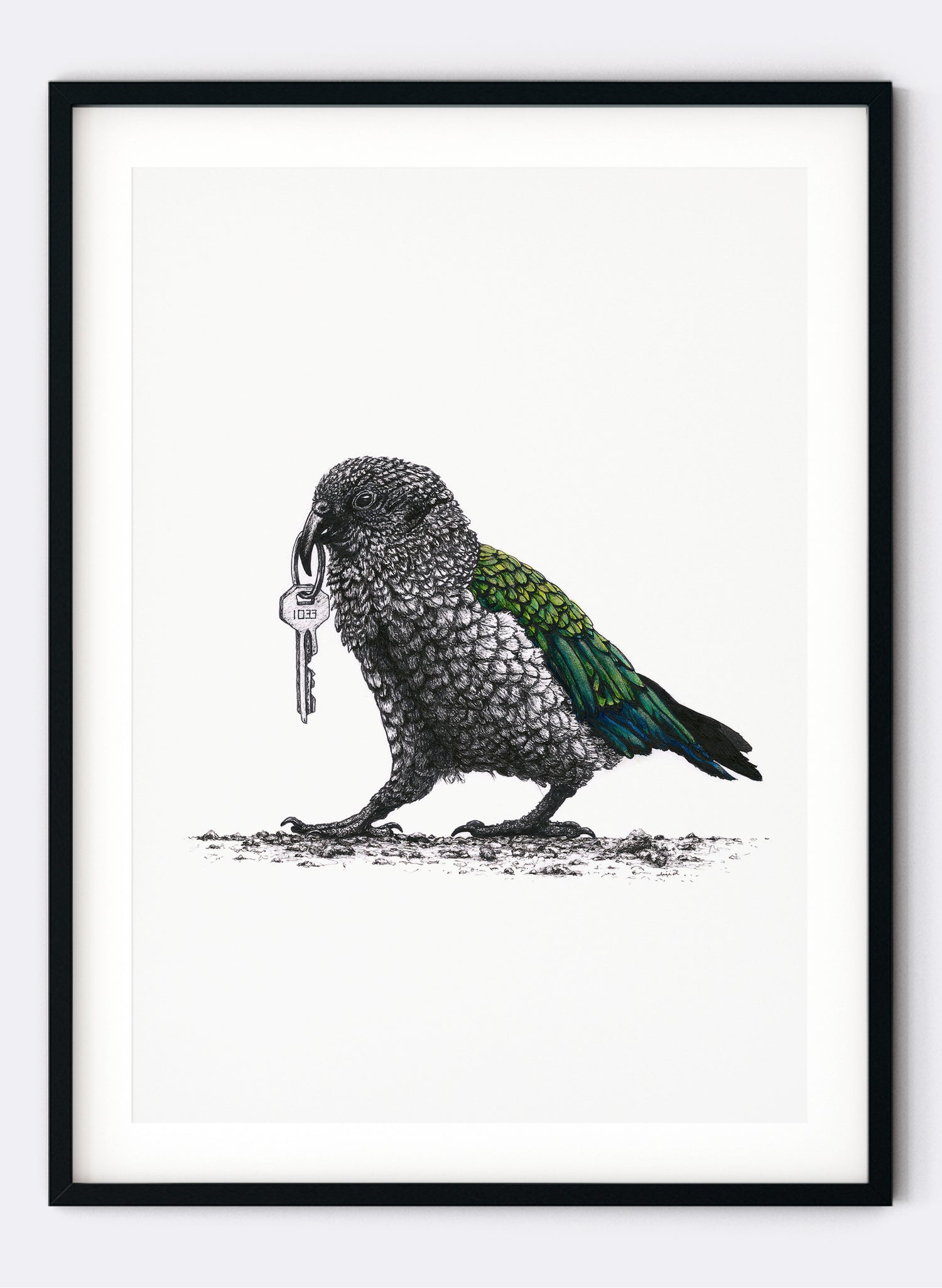 Kea w/ Keys - Giclée Print