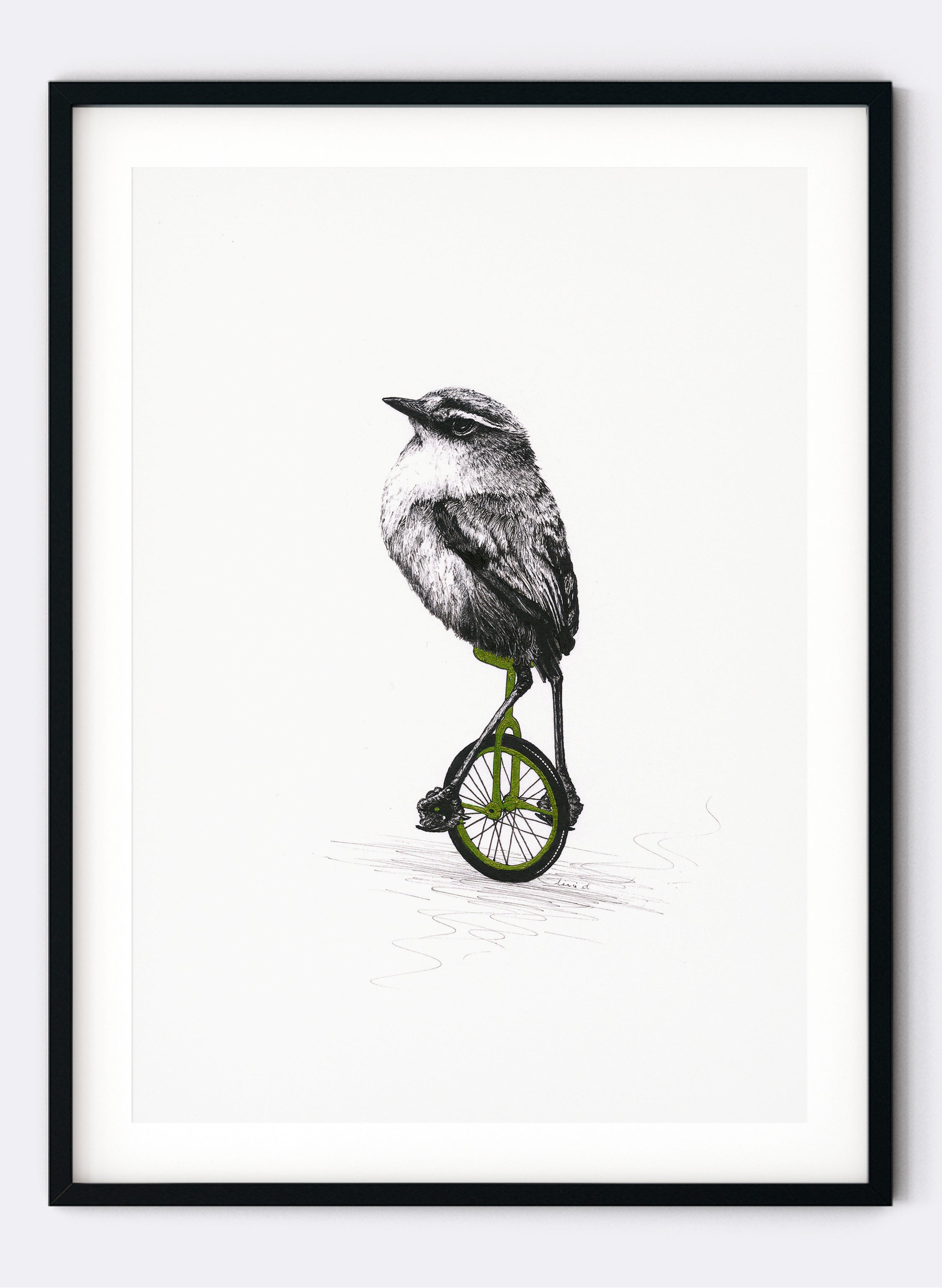 Rock Wren On A Unicycle - Giclée Print