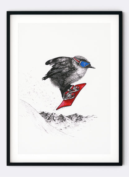 Rock Wren Snowboarding - Giclée Print