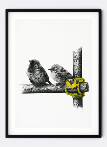 Sparrows - &quot;Seriously!?!&quot; - Giclée Print