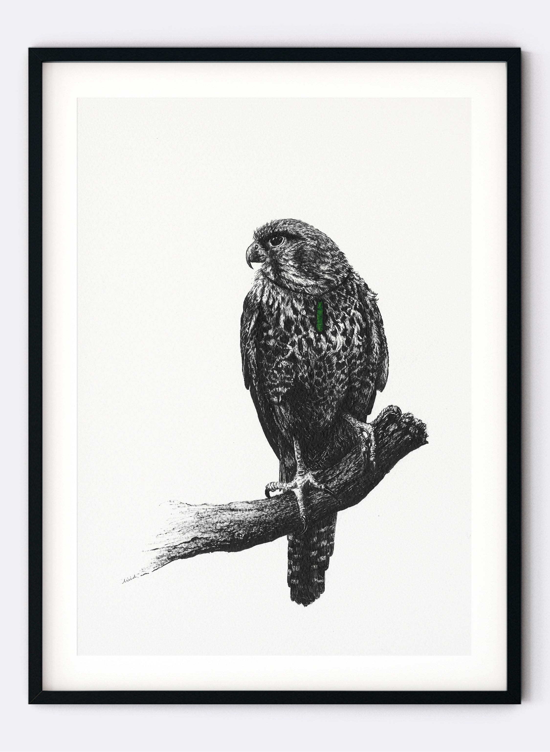 Falcon w/ Pounamu - Giclée Print