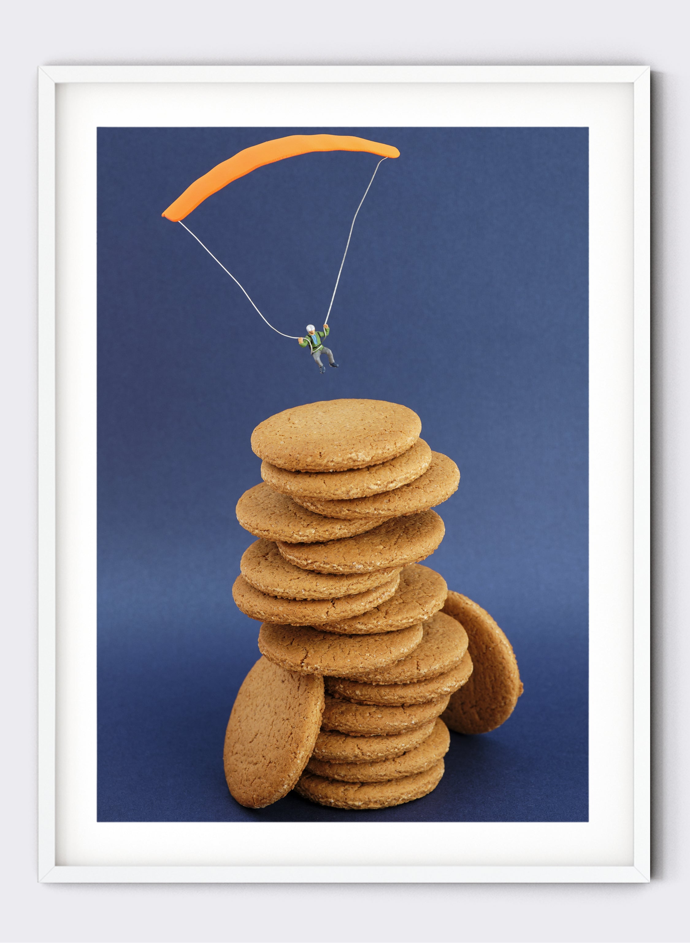Ginger Nuts - Photographic Print