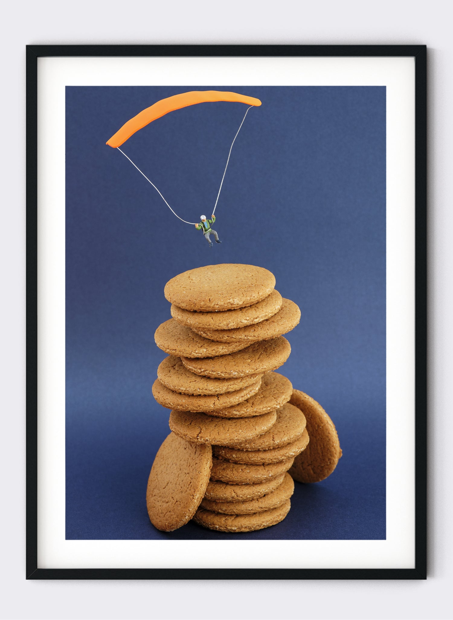 Ginger Nuts - Photographic Print