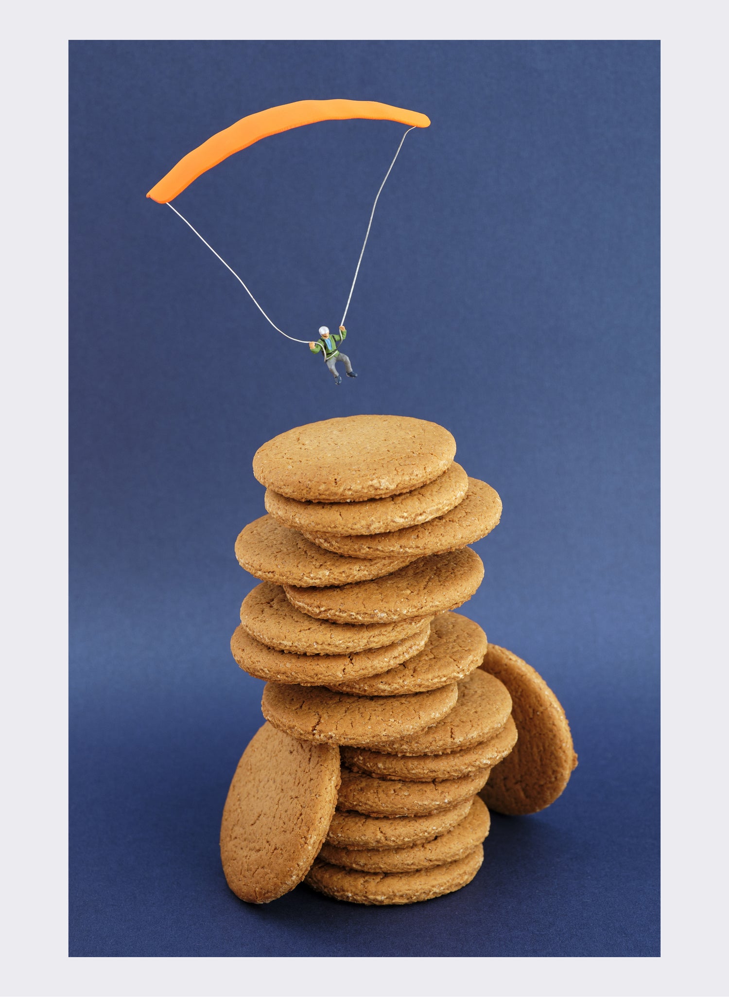 Ginger Nuts - Photographic Print