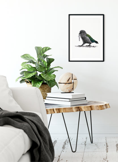 Kea w/ Keys - Giclée Print
