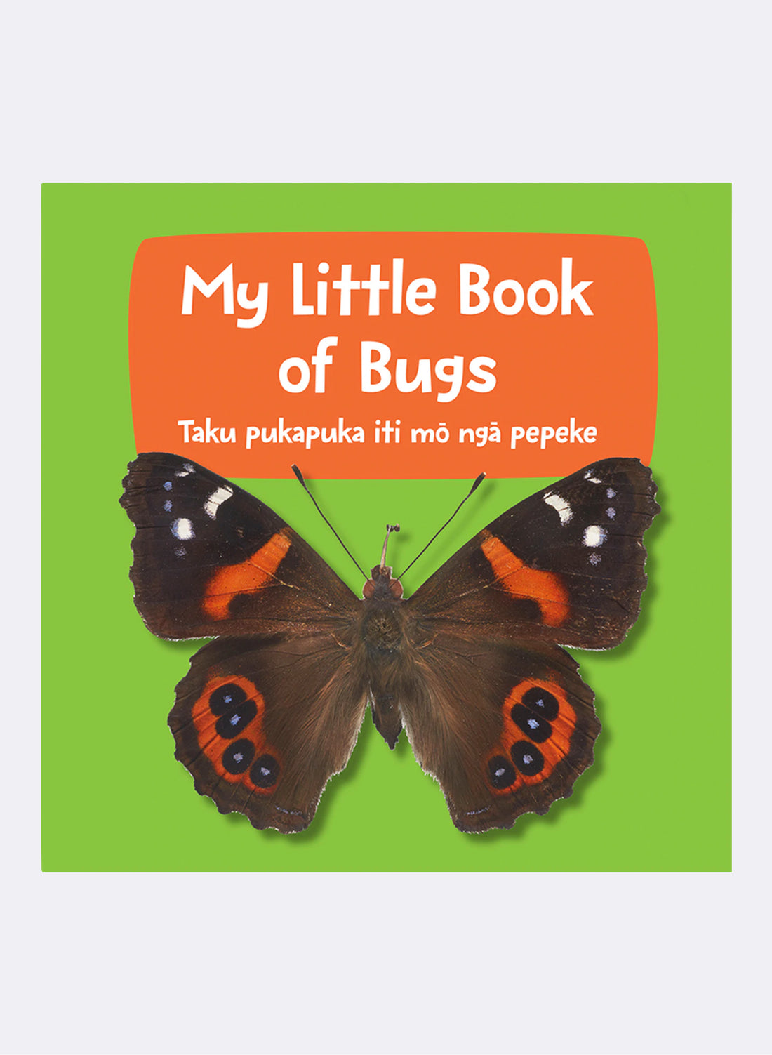 My Little Book Of Bugs