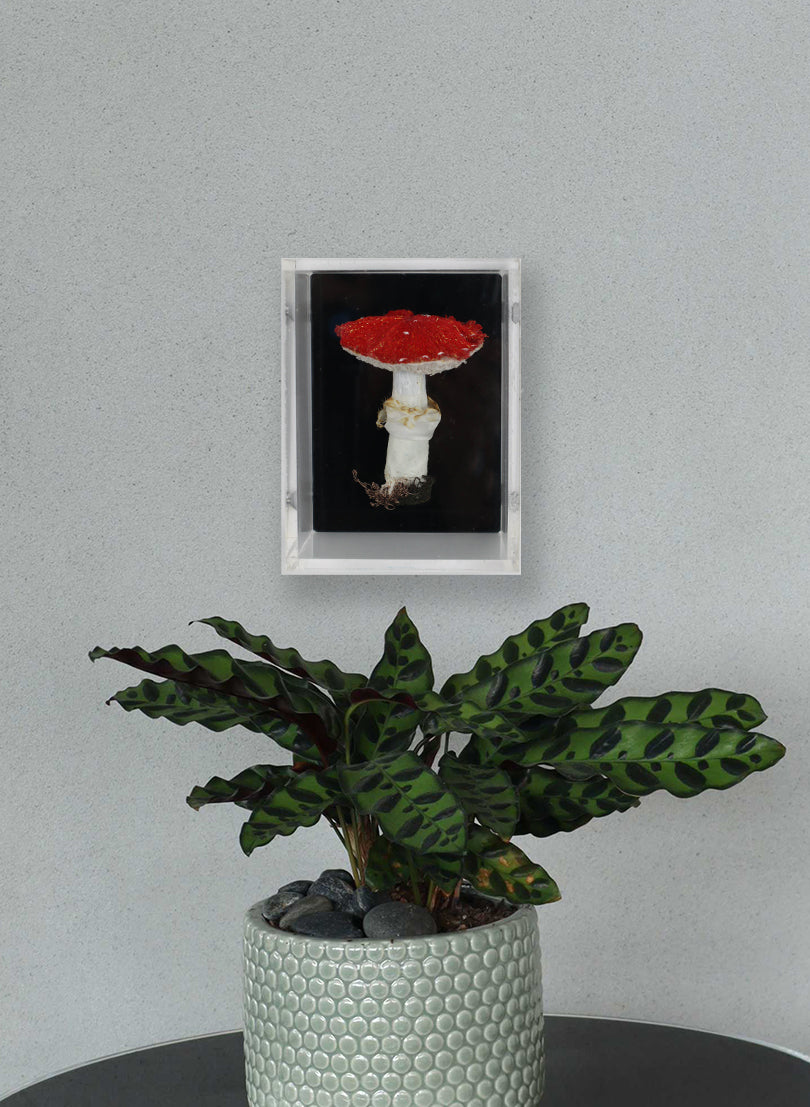 Amantia Fungi 3D Embroidery