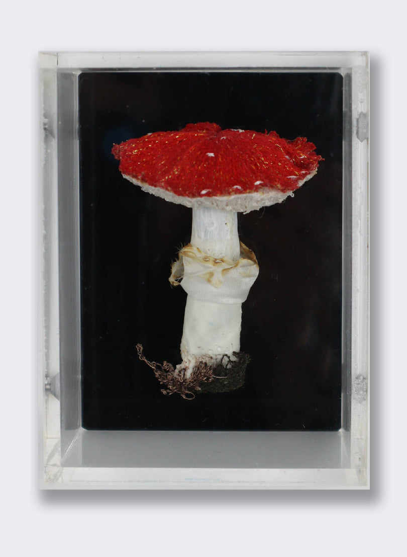 Amantia Fungi 3D Embroidery